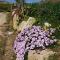 Helimos Bed&Breakfast Segesta Temple-Castellammare