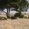 Helimos Bed&Breakfast Segesta Temple-Castellammare - Calatafimi
