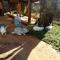 Kusini House & Campsite KItale