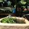 Kusini House & Campsite KItale