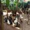 Kusini House & Campsite KItale