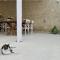 Masseria Spiga