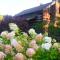 Azalea Garden Inn