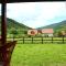 Guest House Krsmanovic - Mokra Gora