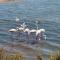 Mar Menor Paradise by Los Pinos Holidays - 圣佩德罗-德尔皮纳塔尔