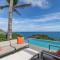 Paradise Perfection Lavish Villa in St-barths - Toiny