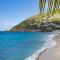 Caribbean Style Villa with Lush Environment - Saint Barthelemy