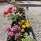 Studio Canellito Le Clos Des Ours - Matemale