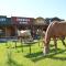 BUBLA CITY RANCH