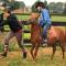 Gîte et Relais Equestre de Marie - Tours-en-Vimeu