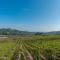 The Grapevine by MANVI