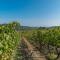 The Grapevine by MANVI