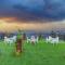 The Charvi Retreat I Vacations I Conference I MICE I Family Events I Open Air Terrace I Sky Bonfire I Kufri by Exotic Stays