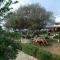 Agrotourism Himara