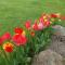 400qm bayerische VILLA 2500qm uneinsehbarer Garten in beliebter Urlaubsregion