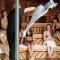 Griffen Spa Hotel