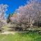 Kyperounta Troodos mountain house