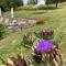 La Bastide Portoly B&B "Pruneaux" - Penne-dʼAgenais