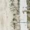 Beach front home in Cape San Blas - Indian Pass