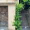 BandB - les rosiers - Corse - chambre Garance - 孔卡