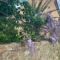 BandB - les rosiers - Corse - chambre Garance - 孔卡