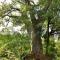 Muchenje Self Catering Cottages