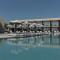 King Jason Zante – Designed for Adults