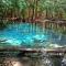 Brown Andaman Krabi