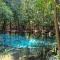 Brown Andaman Krabi