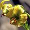 Apartaments Sort Pirineus - Sort