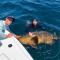 Sailfish Suites 1 - Waterfront & pet friendly