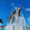 Sailfish Suites 2 - pet friendly & waterfront