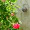 Ibis Rouge - Villars-les-Dombes