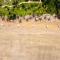 Sunrise 6- Ocean View 2 Br Condo, Steps To The Beach