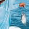 360 Splendor 307B-Ocean View Condo-Breakfast Included! - Playa Flamingo