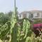 Green paradise with Etna view