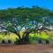 Abangane Guest Lodge