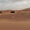 Night Desert Camp Night Desert Camp