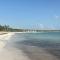 Pristine 4BR Beachfront Getaway with Pool & Rooftop - Punta Cana
