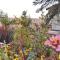 Knowhere Selfcatering Unit 2