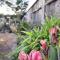 Knowhere Selfcatering Unit 2