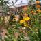 Knowhere Selfcatering Unit 2