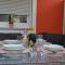 Aparthouse SUPREME with Terme Catez Swimming Pools Tickets - 卡特兹奥布萨维
