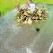 Serenity sands cottage Jurmala