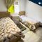Stylish Central Apartment - Tanger