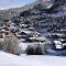 Chalet Le Becoin - CHALET MITOYEN 10/12 pers - 100m des pistes SAUNA- WIFI - PLAGNE 1800 MAE-6654