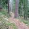 Chemin de résilience, séjours détente et nature