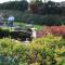 Le Moulin de Nancy