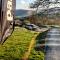 MTB Jumps View Pod - Trawsfynydd