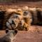 Jacana River Lodge Mjejane Game Reserve